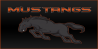 Mustangs